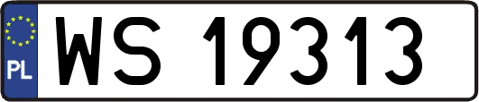 WS19313