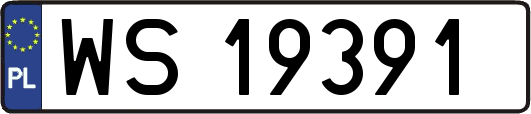 WS19391