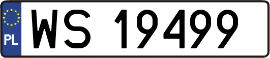 WS19499