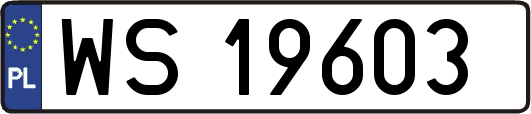 WS19603