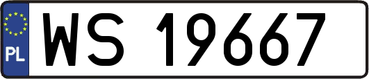 WS19667
