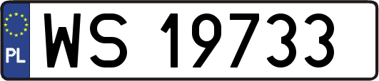 WS19733