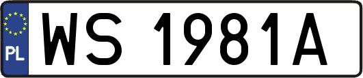 WS1981A