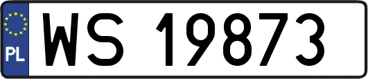 WS19873