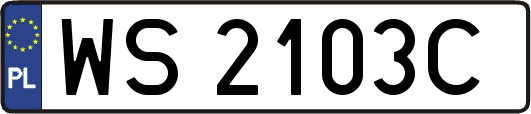 WS2103C