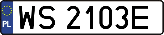 WS2103E
