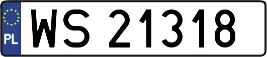 WS21318