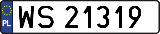 WS21319