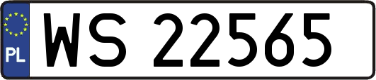 WS22565