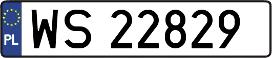 WS22829