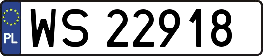 WS22918