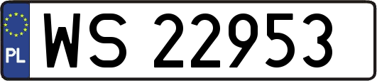 WS22953