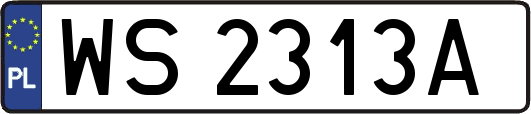 WS2313A