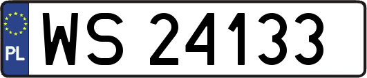 WS24133