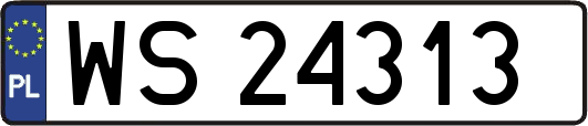 WS24313