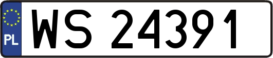 WS24391