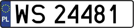 WS24481
