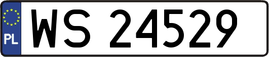 WS24529