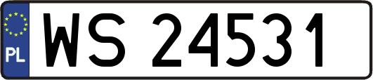 WS24531