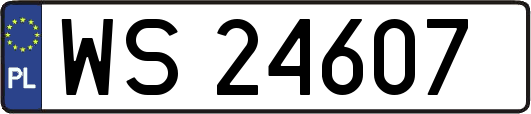 WS24607