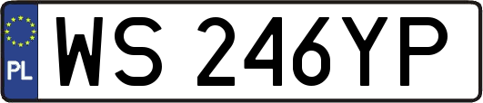 WS246YP