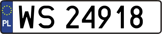 WS24918