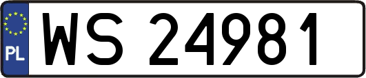 WS24981