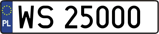 WS25000