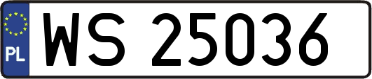 WS25036