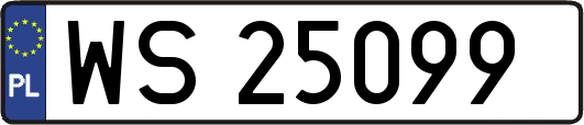 WS25099