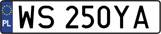 WS250YA