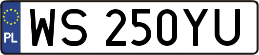 WS250YU