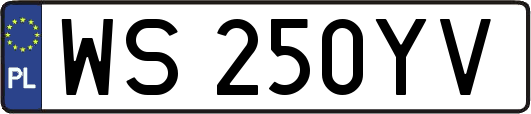 WS250YV