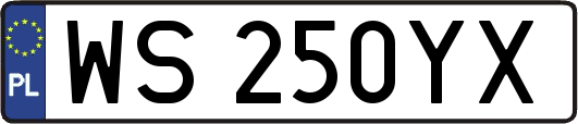 WS250YX