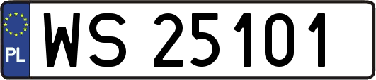 WS25101