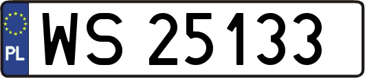 WS25133