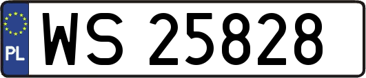 WS25828