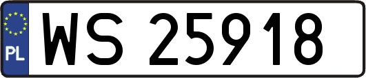 WS25918