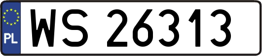 WS26313