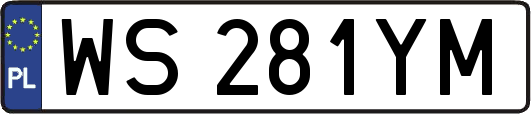 WS281YM
