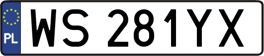 WS281YX