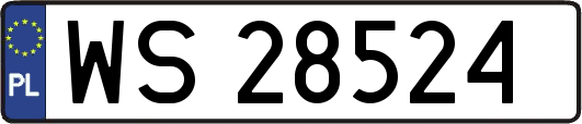 WS28524