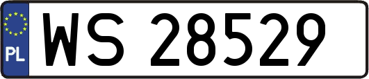WS28529