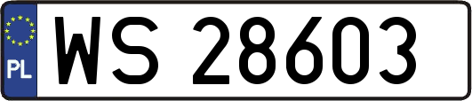 WS28603