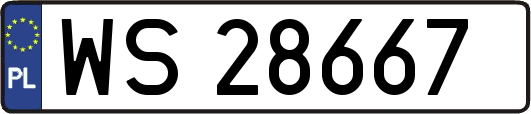 WS28667