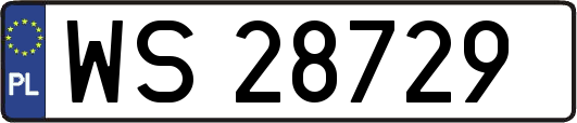 WS28729