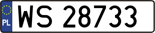 WS28733
