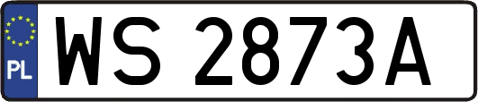 WS2873A