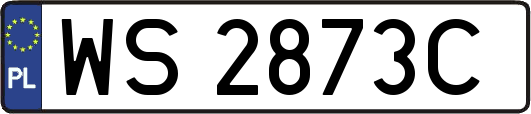 WS2873C