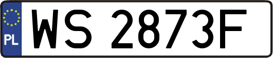WS2873F